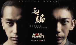 毛骗第三季在线观看,揭秘网络诈骗背后的黑暗世界