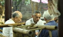 老汉爆料茶叶视频大全集,茶叶视频大全集揭秘茶叶奥秘